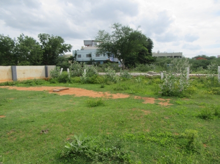 2) Li id 317 - Pic 3.JPG